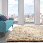 Home Republic Beige Shaggy Anti Slip Sponge Cushioned Area Rug