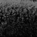 Home Republic Dream 5cm Deep Pile Shaggy Rug - Black