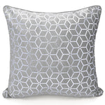 Intimates Vera Silver Cushion Cover